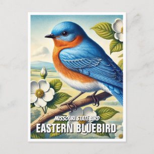 Missouri State Bird Eastern Bluebird Postcard