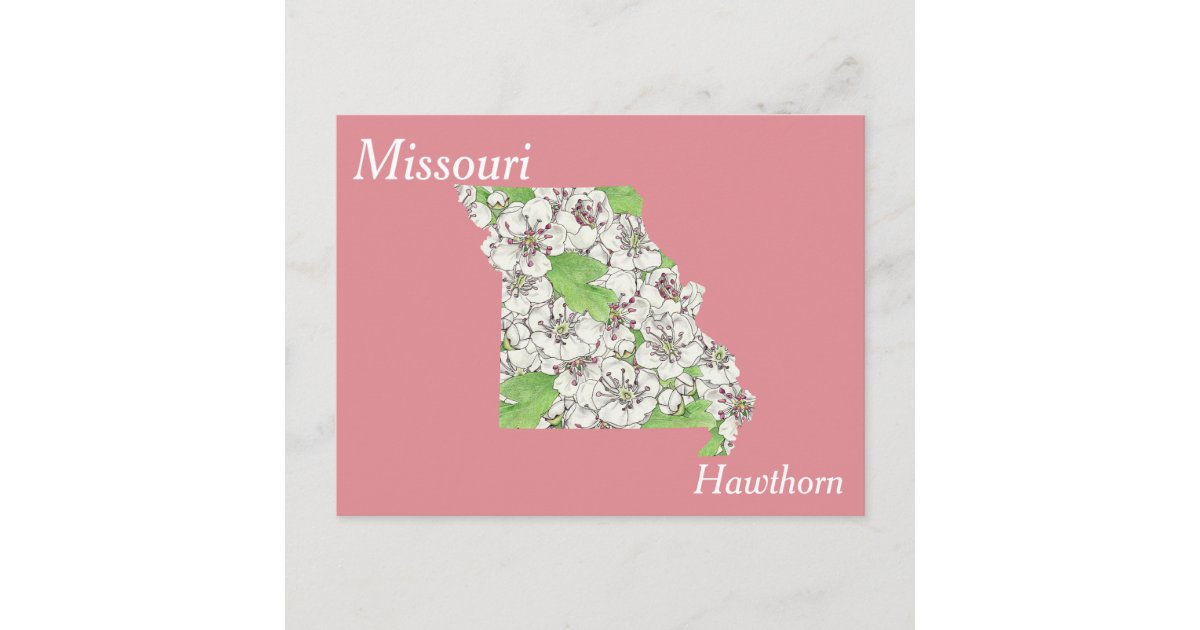 Missouri State White Hawthorn Flower Leggings | Zazzle