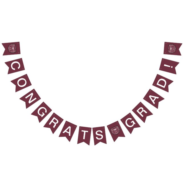 Missouri State University Bears Graduation Bunting Flags (All)