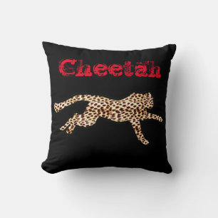 MISSOURI THROW PILLOW