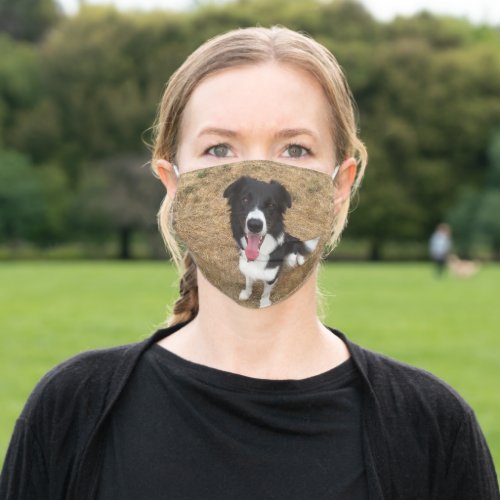 Missy Face Mask Border Collie Dog