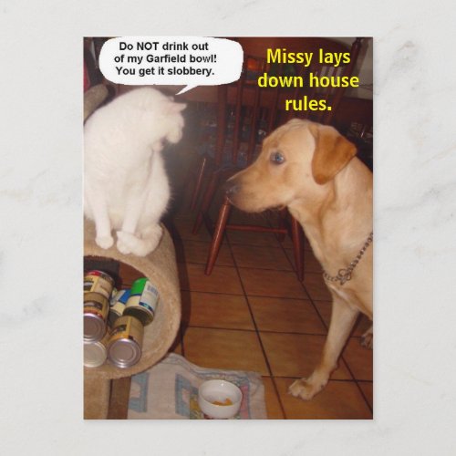 Missy lays down house rules postcard