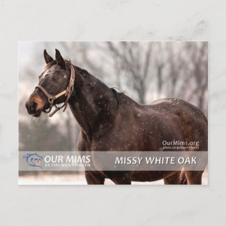 Missy White Oak postcard