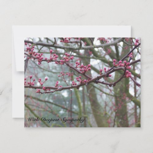 Mist and Budding Tree Bible Verse Sympathy Card