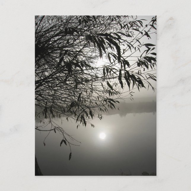 Mist and Shadow Card (Front)