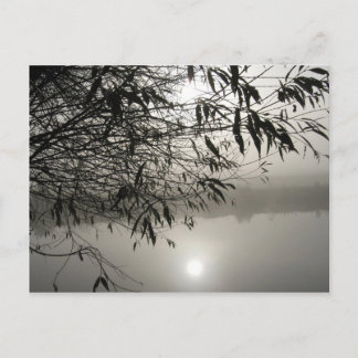 Mist and Shadow Postcard