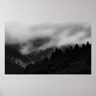 Mist over the forest poster