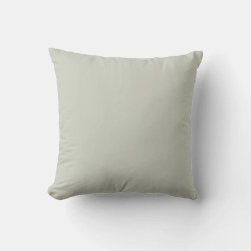 Misted Mint Pastel Green Solid Color SW 0059 Throw Pillow