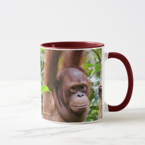 Mister Bernie Orangutan Mug