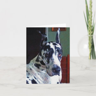 'Mister' Great Dane Card