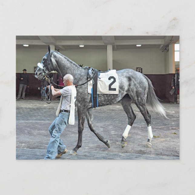 Mister Monolo Postcard (Front)