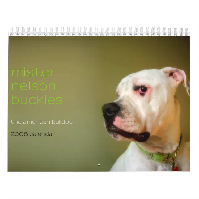 Mister Nelson Buckles The American Bulldog Calendar Zazzle