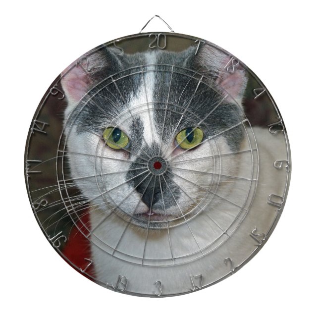 Mister Pants Dartboard With Darts (Front)