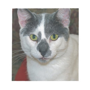 Mister Pants Notepad