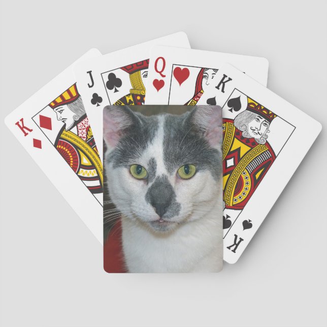 Mister Pants Poker Cards (Back)