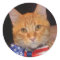 Mister President Loves Stickers!