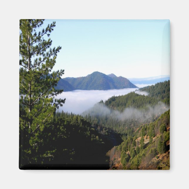 Misting morning fog....... magnet (Front)