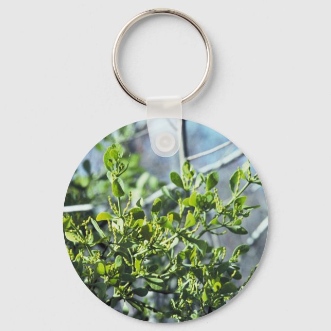Mistletoe Keychain (Front)