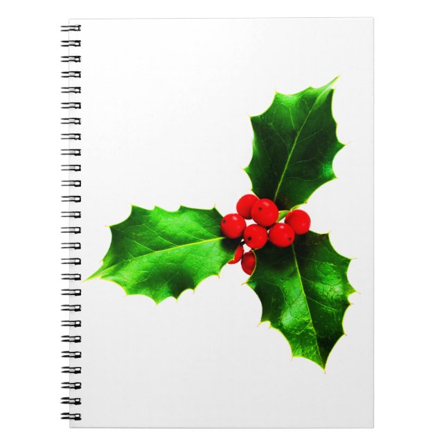 Mistletoe Notebook (Front)