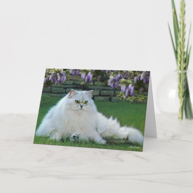 Mistletoe the Silver Persian Blank Greeting Card (Front)