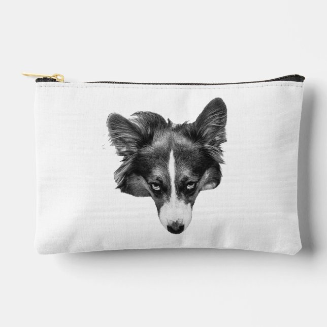 mistshade visage accessory pouch (Front)