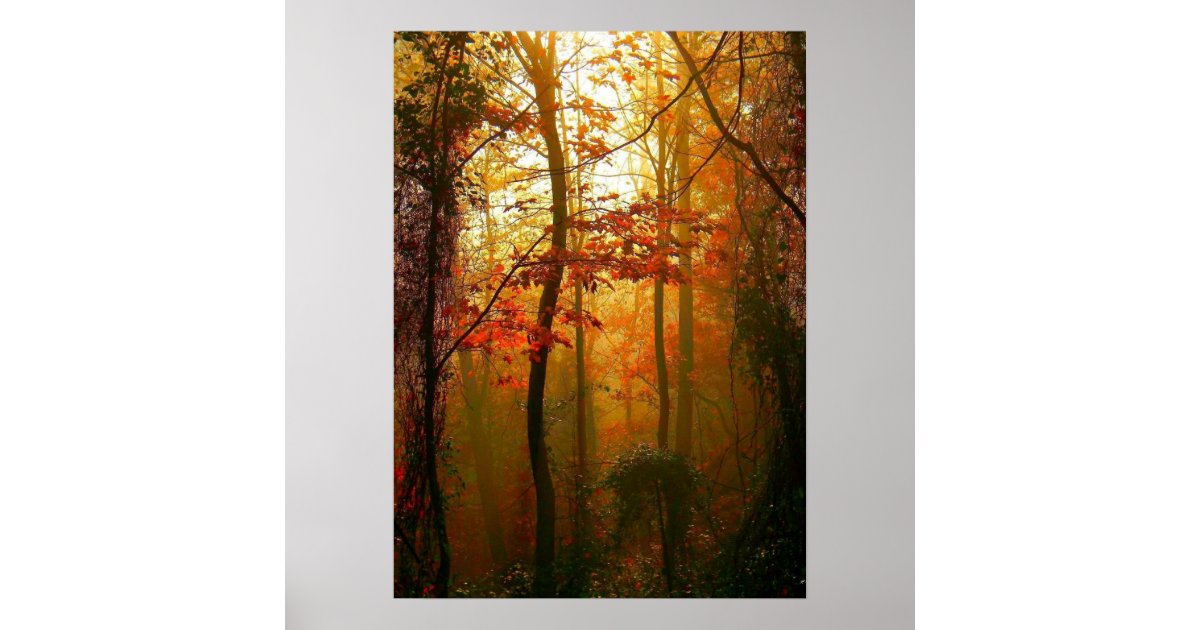 Misty Autumn Morning Poster | Zazzle