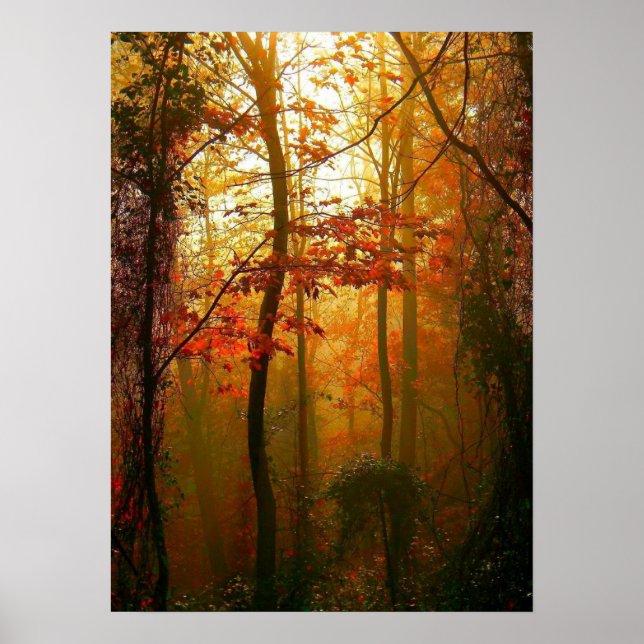 Misty Autumn Morning Poster (Front)