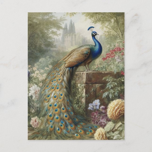 Misty Castle Peacock Garden Vintage Post Postcard (Front)