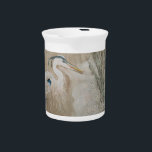 Misty Cove Pitcher<br><div class="desc">This pitcher goes with the Misty Cove collection.</div>