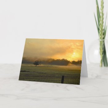 Misty-eyed Morning Greeting Card by DesireeGriffiths at Zazzle