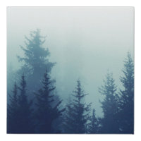 Misty fog in pine forest on mountain slopes. Color