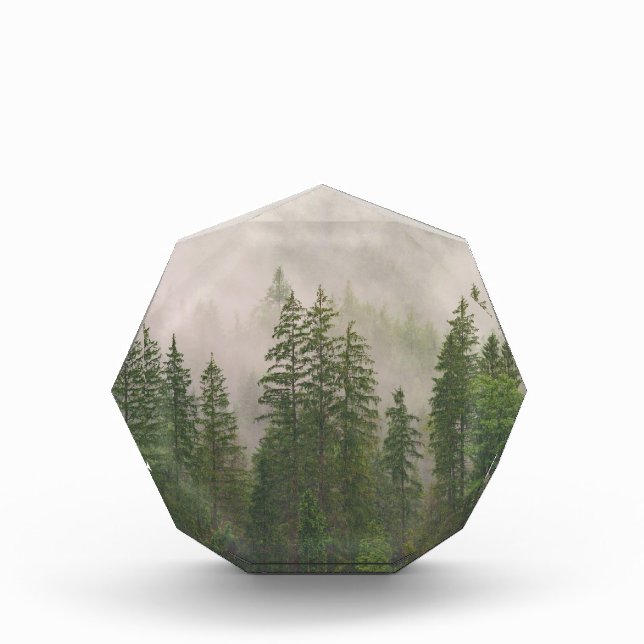 Misty Foggy Forest Trees Acrylic Award (Front)