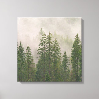 Misty Foggy Forest Trees Canvas Print