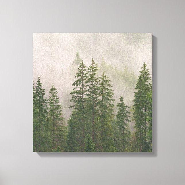 Misty Foggy Forest Trees Canvas Print (Front)