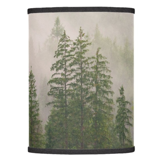 Misty Foggy Forest Trees Lamp Shade (Front)