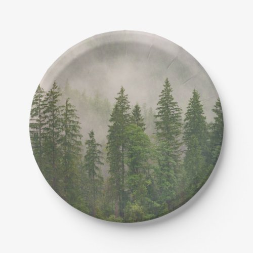 Misty Foggy Forest Trees Paper Plates