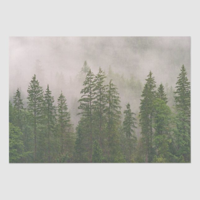 Misty Foggy Forest Trees Tissue Paper (Front)