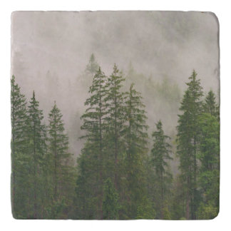 Misty Foggy Forest Trees Trivet