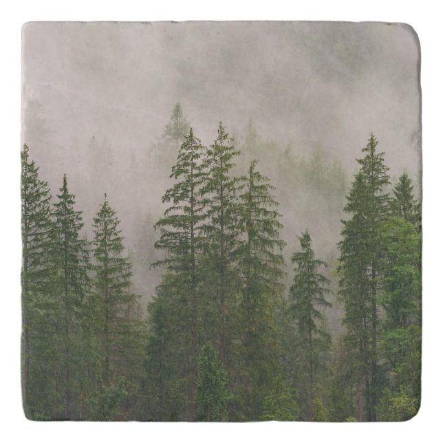 Misty Foggy Forest Trees Trivet (Front)