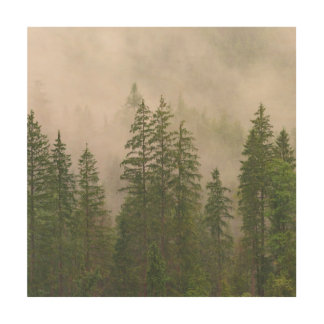 Misty Foggy Forest Trees Wood Wall Art