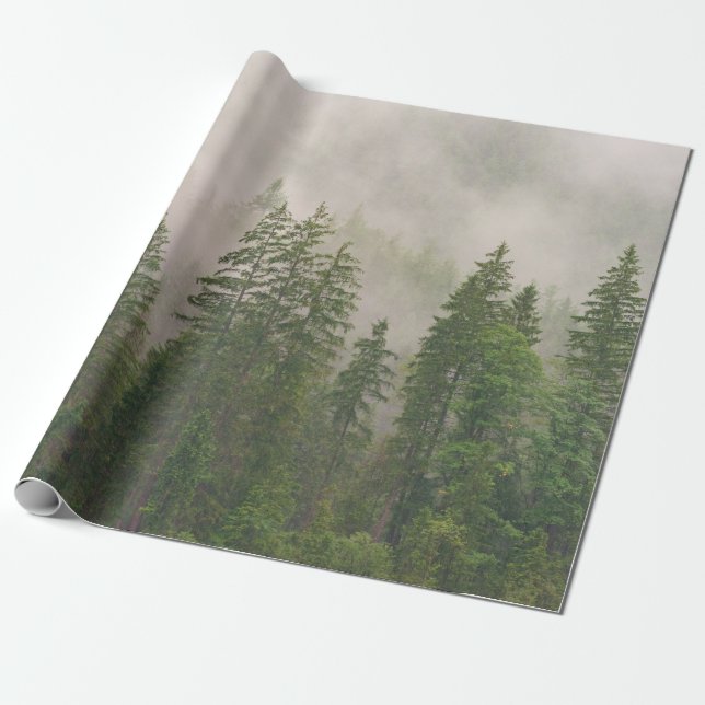 Misty Foggy Forest Trees Wrapping Paper (Unrolled)
