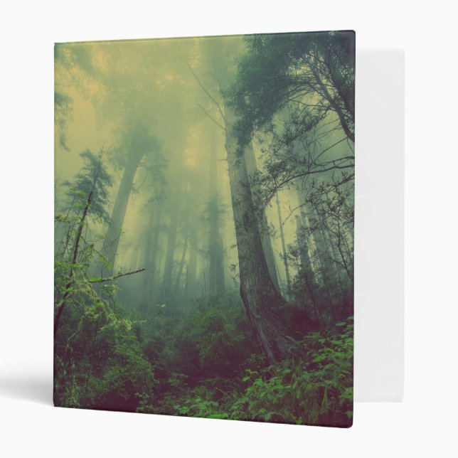 Misty Forest Binder (Front/Inside)