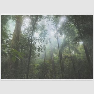 Misty Forest Decoupage Tissue Paper