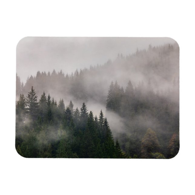 Misty Forest in the Mountains Magnet (Horizontal)
