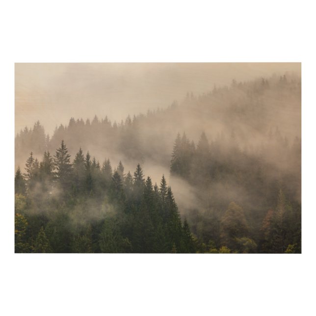 Misty Forest in the Mountains Wood Wall Art (Front)