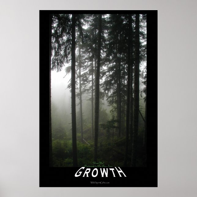 Misty Forest Motivational Photo Print (Front)
