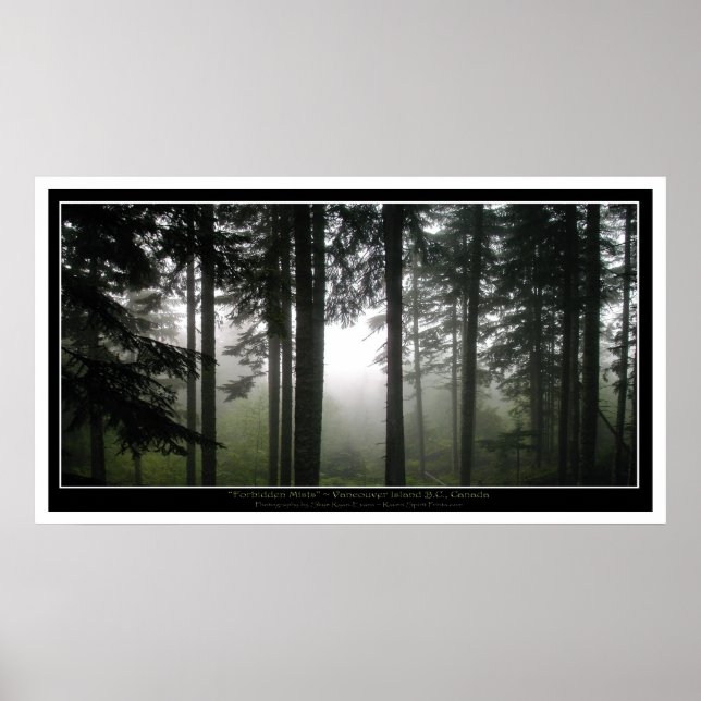 Misty Forest Mystical Photo Poster (Front)