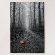Misty Forest Path Selective Color