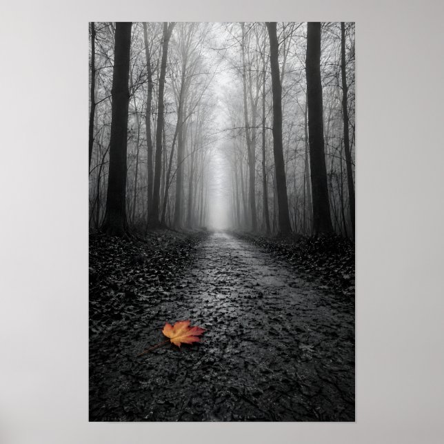 Misty Forest Path Selective Color Poster (Front)