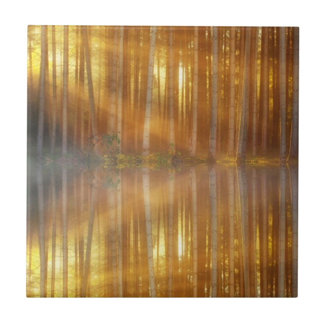 Misty Forest Scene Ceramic Tile (Front)